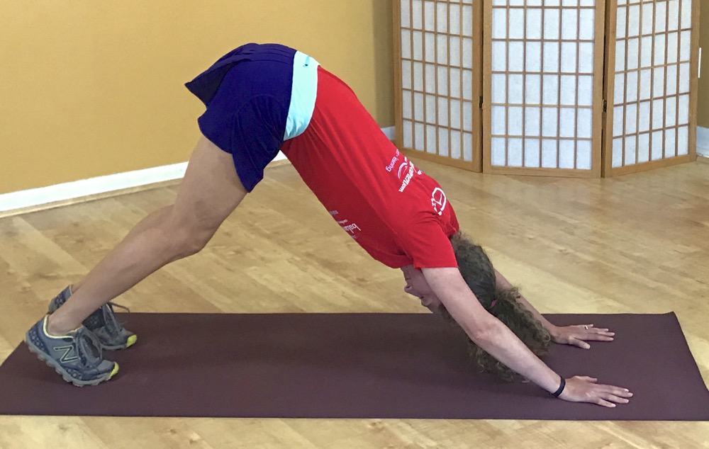 Down Dog Push Up Endurance Magazine