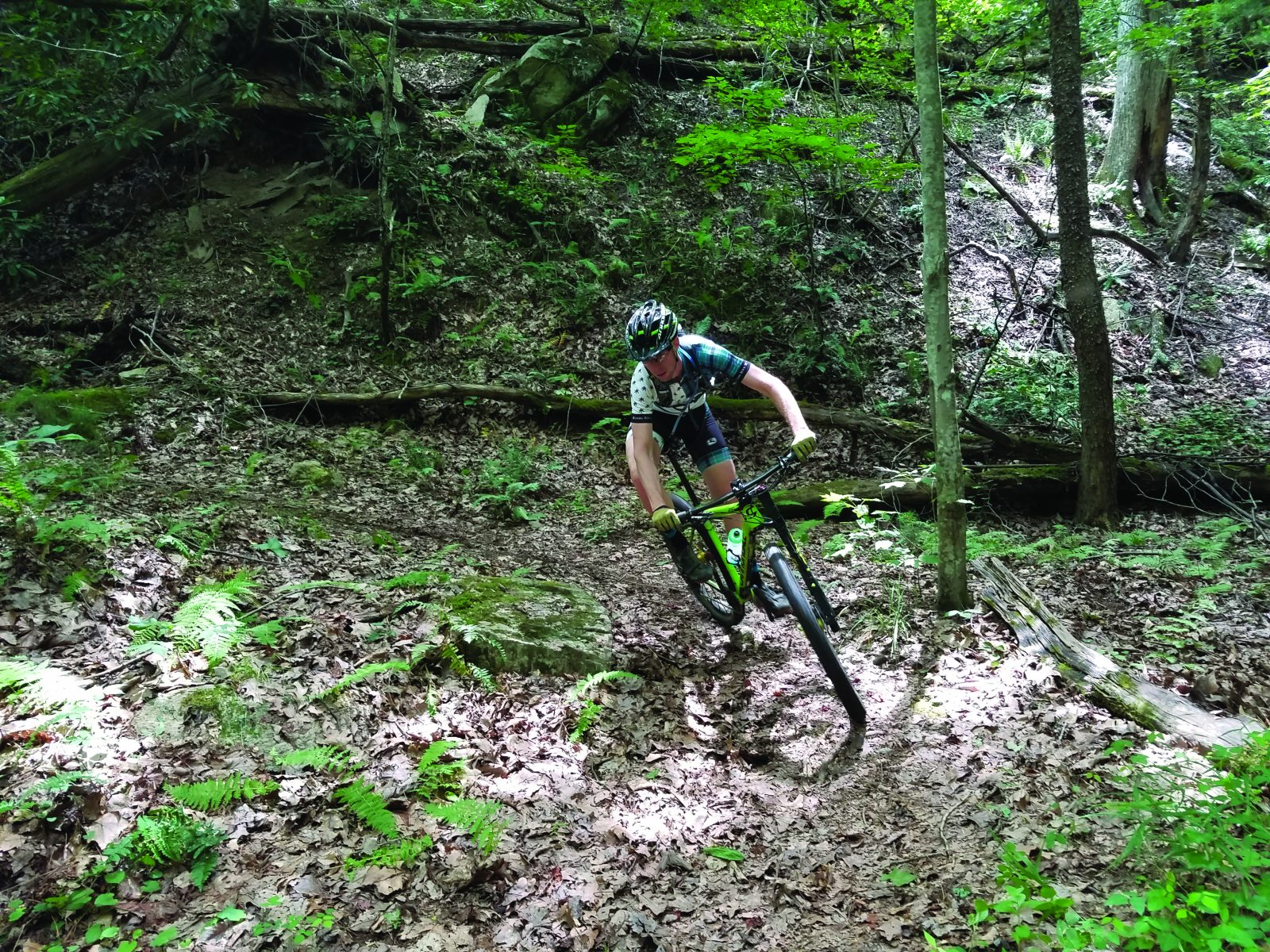 mountain biking pisgah