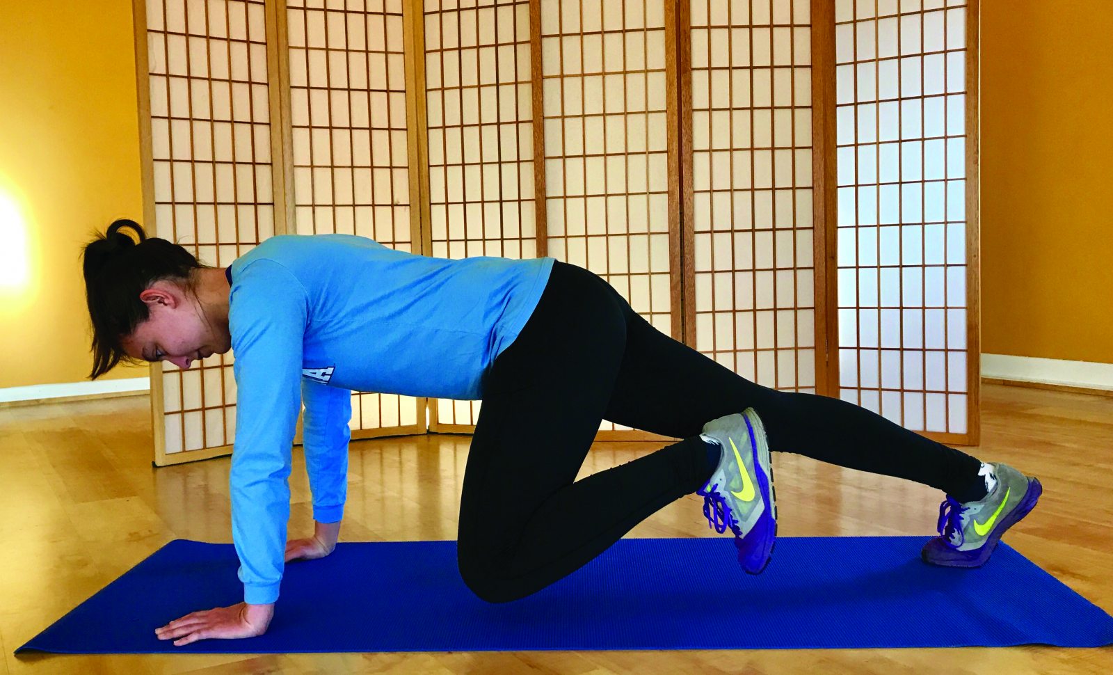 Plank with Knee to Elbow Endurance Magazine