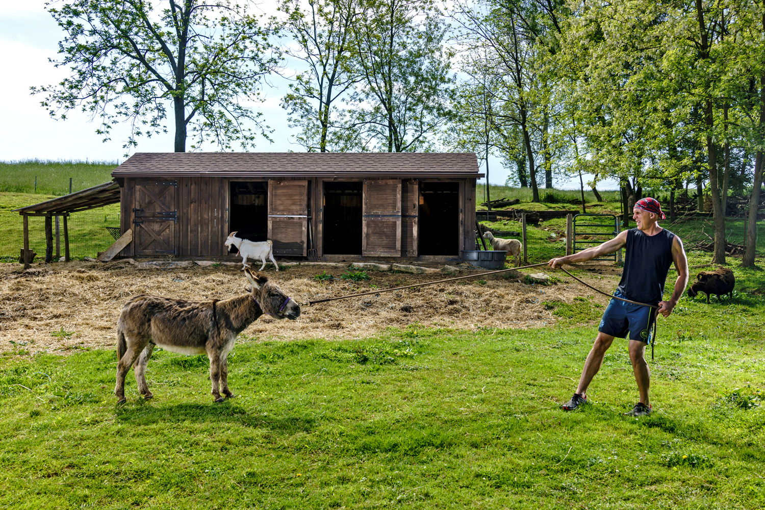 Running with Sherman