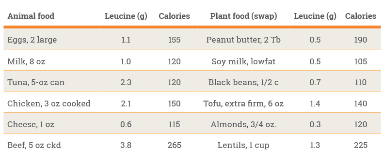 vegan protein chart